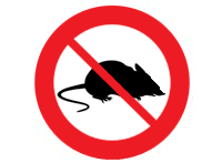 Ongediertebestrijding