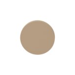 Blinde rozet rond 53x6mm