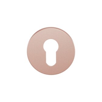 Cilinder rozet 53x6mm Blush