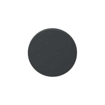 Blinde rozet 53x6mm Antraciet