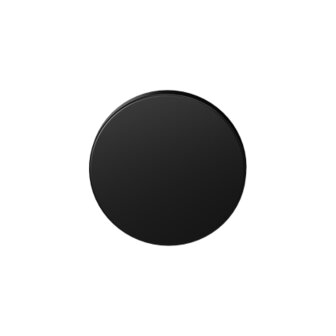 Blinde rozet 53x6mm Zwart Egaal