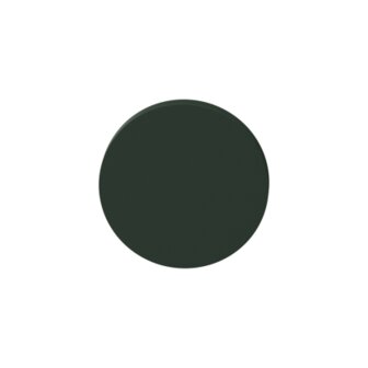Blinde rozet rond 53x6mm