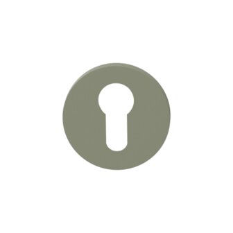 Cilinderrozet rond 53x6mm