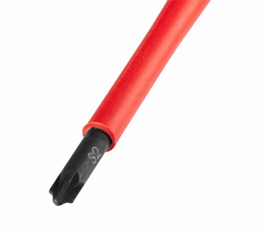 Plus-Minus Schroevendraaier PZ1-Sleuf 100mm kop