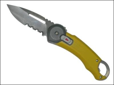 Buck Redpoint Yellow